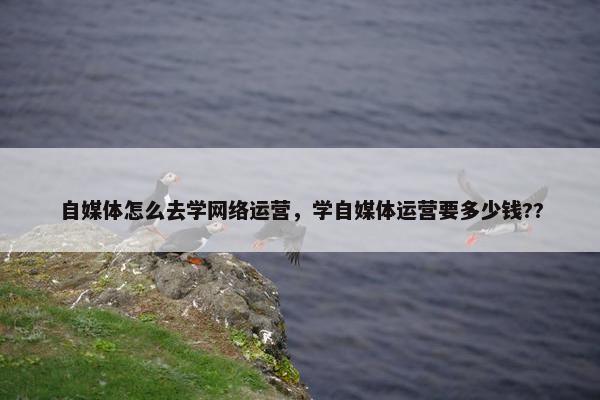 自媒体怎么去学网络运营，学自媒体运营要多少钱??