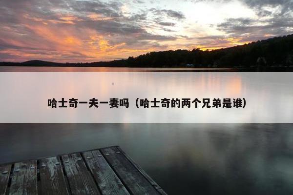 哈士奇一夫一妻吗（哈士奇的两个兄弟是谁）