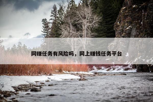 网赚任务有风险吗，网上赚钱任务平台