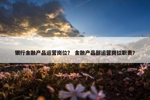银行金融产品运营岗位？ 金融产品部运营岗位职责？