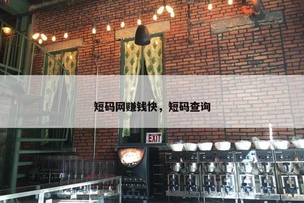 短码网赚钱快，短码查询