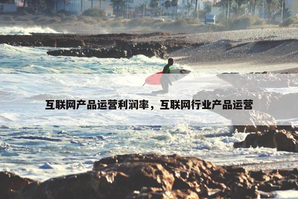 互联网产品运营利润率，互联网行业产品运营