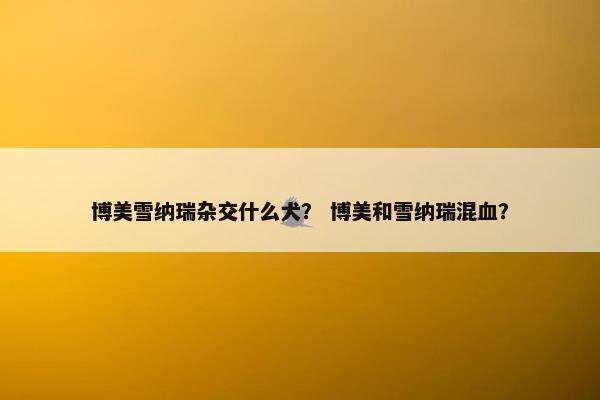 博美雪纳瑞杂交什么犬？ 博美和雪纳瑞混血？