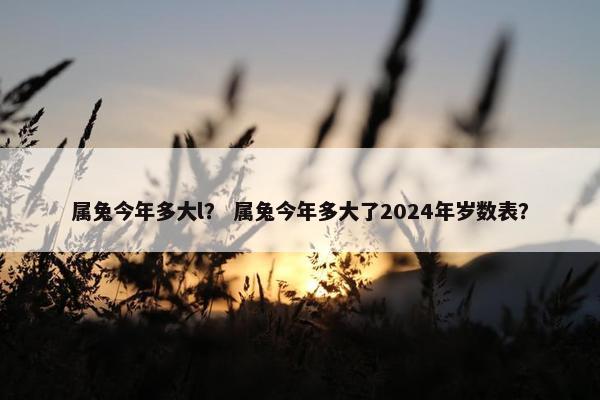 属兔今年多大l？ 属兔今年多大了2024年岁数表？