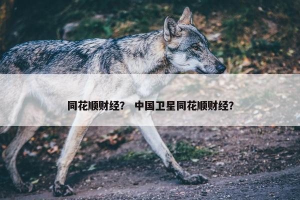 同花顺财经？ 中国卫星同花顺财经？