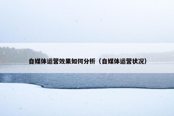 自媒体运营效果如何分析（自媒体运营状况）