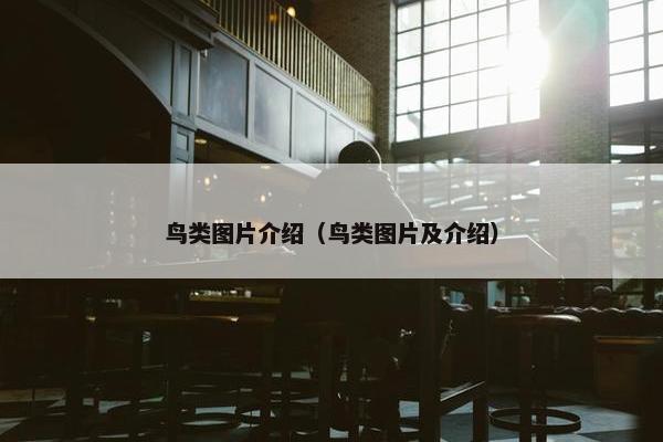 鸟类图片介绍（鸟类图片及介绍）