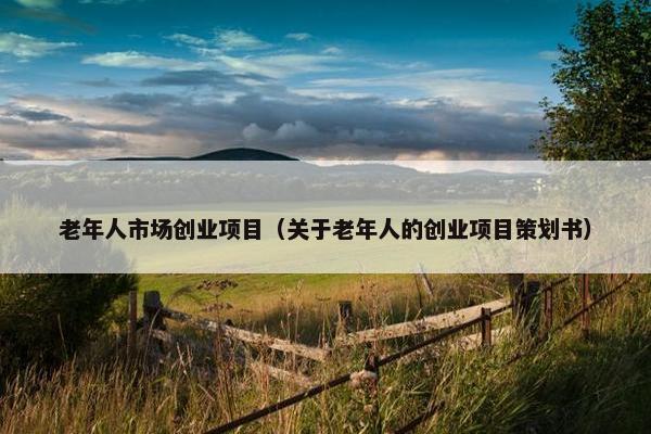 老年人市场创业项目（关于老年人的创业项目策划书）