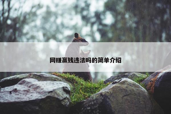 网赚赢钱违法吗的简单介绍