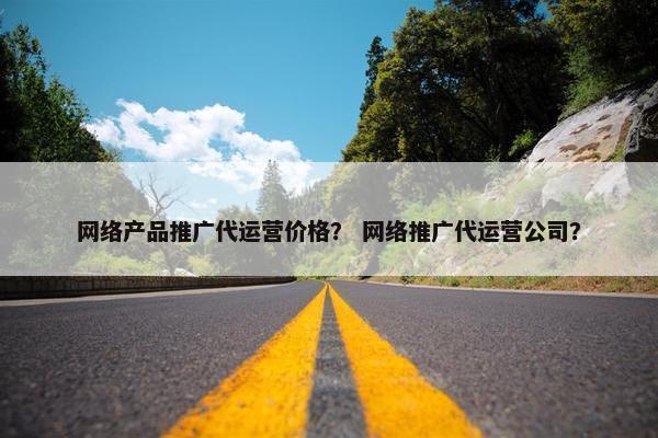 网络产品推广代运营价格？ 网络推广代运营公司？
