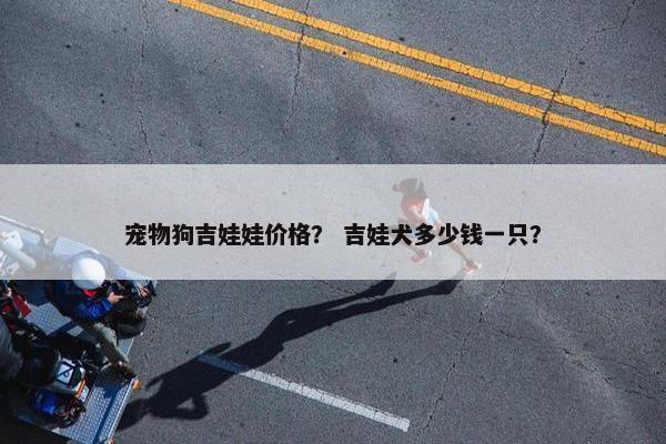 宠物狗吉娃娃价格？ 吉娃犬多少钱一只？