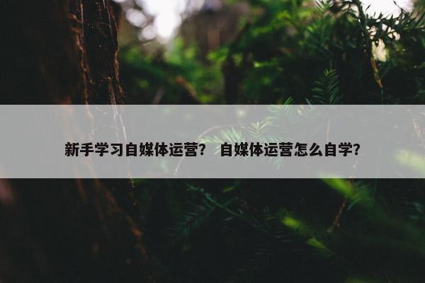 新手学习自媒体运营？ 自媒体运营怎么自学？
