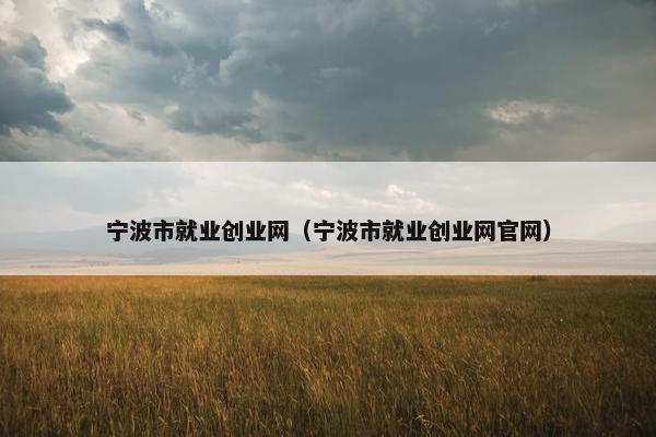 宁波市就业创业网（宁波市就业创业网官网）