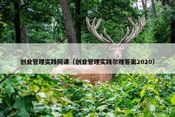 创业管理实践网课（创业管理实践尔雅答案2020）