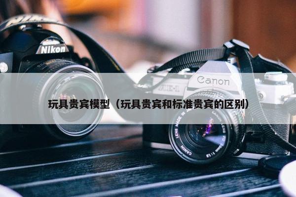 玩具贵宾模型（玩具贵宾和标准贵宾的区别）
