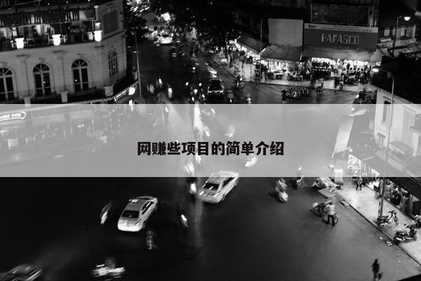 网赚些项目的简单介绍