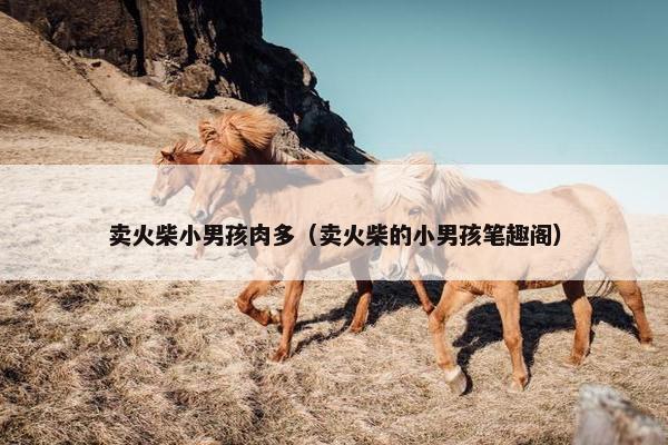 卖火柴小男孩肉多（卖火柴的小男孩笔趣阁）