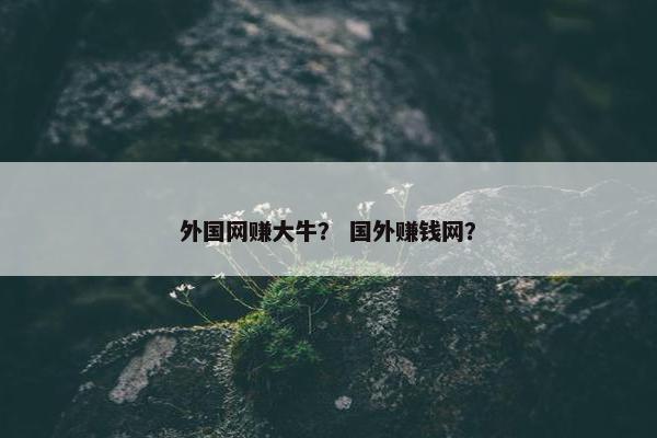 外国网赚大牛？ 国外赚钱网？