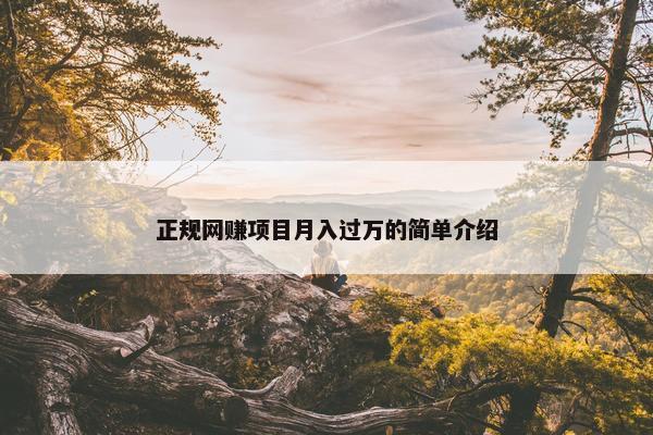 正规网赚项目月入过万的简单介绍