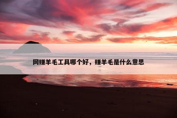 网赚羊毛工具哪个好，赚羊毛是什么意思
