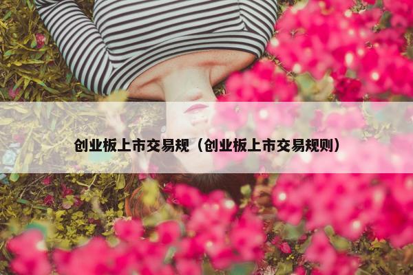 创业板上市交易规（创业板上市交易规则）
