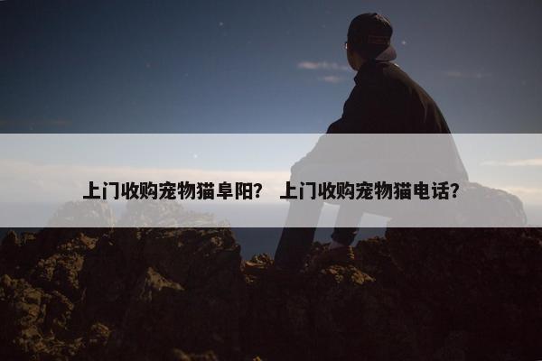 上门收购宠物猫阜阳？ 上门收购宠物猫电话？