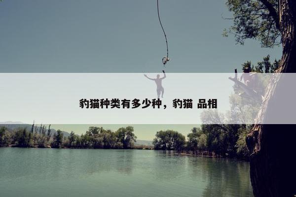 豹猫种类有多少种，豹猫 品相