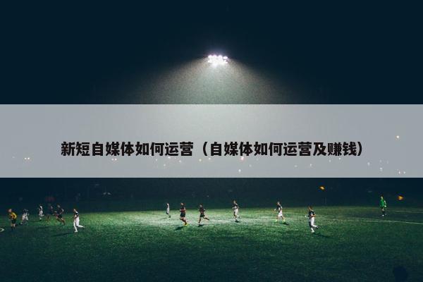 新短自媒体如何运营（自媒体如何运营及赚钱）