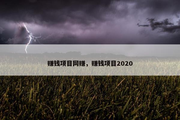 赚钱项目网赚，赚钱项目2020