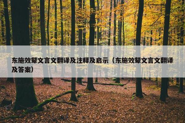 东施效颦文言文翻译及注释及启示（东施效颦文言文翻译及答案）
