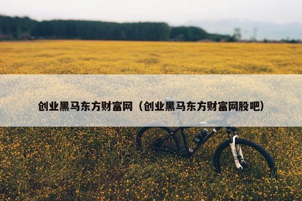 创业黑马东方财富网（创业黑马东方财富网股吧）
