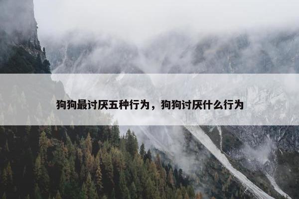 狗狗最讨厌五种行为，狗狗讨厌什么行为