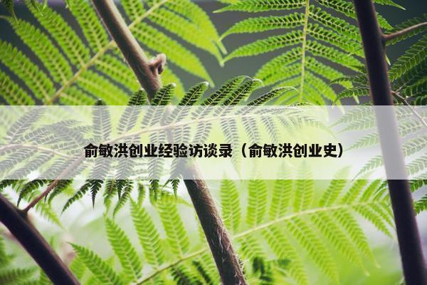 俞敏洪创业经验访谈录（俞敏洪创业史）