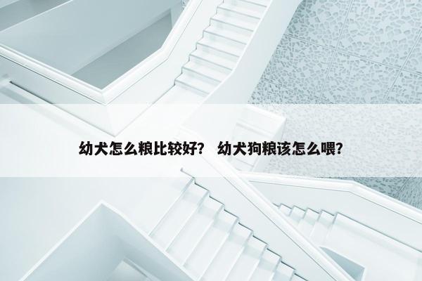 幼犬怎么粮比较好？ 幼犬狗粮该怎么喂？