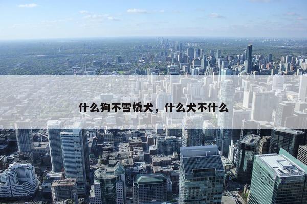 什么狗不雪橇犬，什么犬不什么