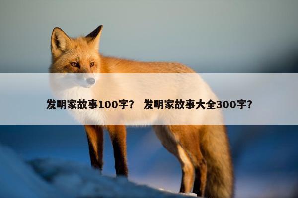 发明家故事100字？ 发明家故事大全300字？