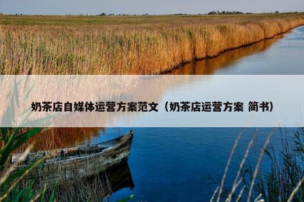 奶茶店自媒体运营方案范文（奶茶店运营方案 简书）