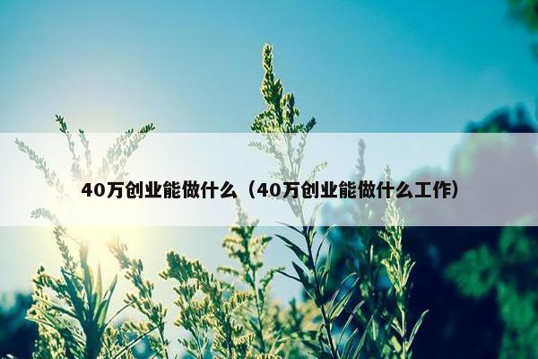 40万创业能做什么（40万创业能做什么工作）