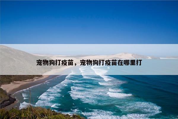 宠物狗打疫苗，宠物狗打疫苗在哪里打