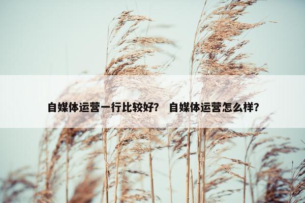 自媒体运营一行比较好？ 自媒体运营怎么样？