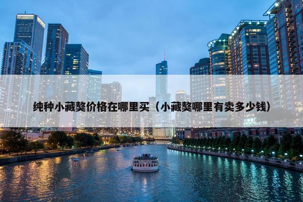 纯种小藏獒价格在哪里买（小藏獒哪里有卖多少钱）