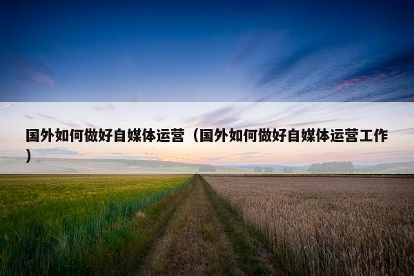 国外如何做好自媒体运营（国外如何做好自媒体运营工作）