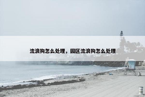 流浪狗怎么处理，园区流浪狗怎么处理