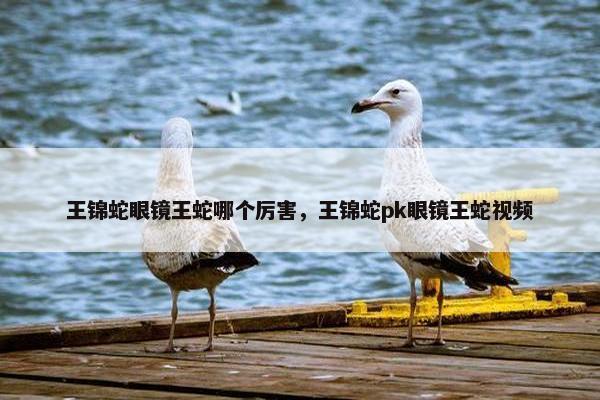 王锦蛇眼镜王蛇哪个厉害，王锦蛇pk眼镜王蛇视频