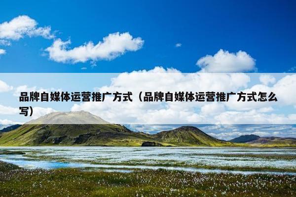 品牌自媒体运营推广方式（品牌自媒体运营推广方式怎么写）
