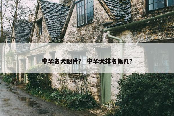 中华名犬图片？ 中华犬排名第几？