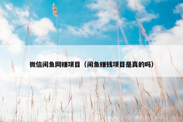微信闲鱼网赚项目（闲鱼赚钱项目是真的吗）