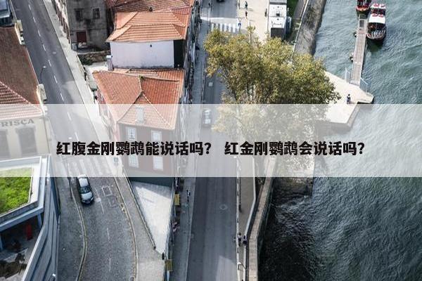 红腹金刚鹦鹉能说话吗？ 红金刚鹦鹉会说话吗？
