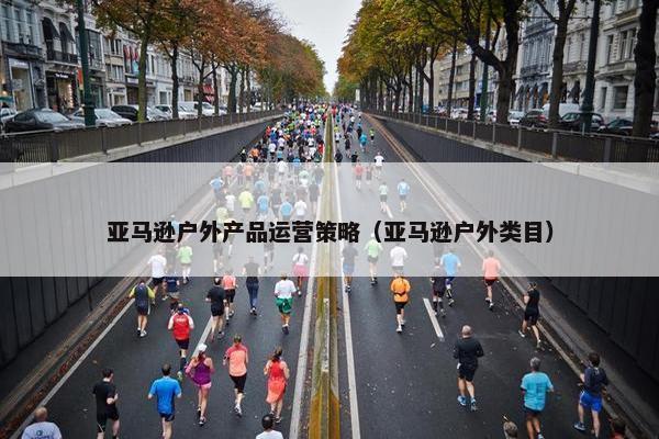 亚马逊户外产品运营策略（亚马逊户外类目）