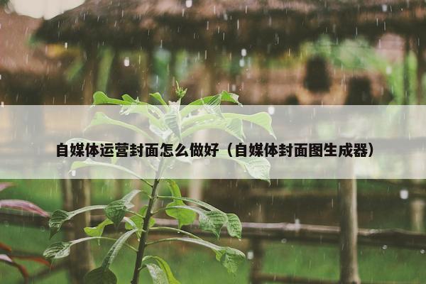 自媒体运营封面怎么做好（自媒体封面图生成器）